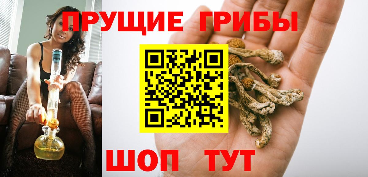 Галлюциногенные грибы прущие грибы  сколько стоит  Псилоцибиновые грибы прущие грибы  Туапсе  Вход с VPN 